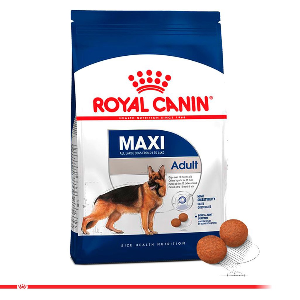 ROYAL CANIN MAXI ADULT
