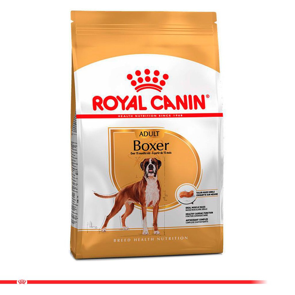 ROYAL CANIN Boxer Adult