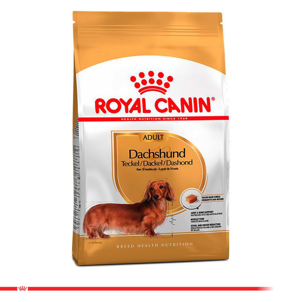 ROYAL CANIN DACHSHUND ADULT