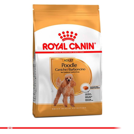 ROYAL CANIN Poodle Adult